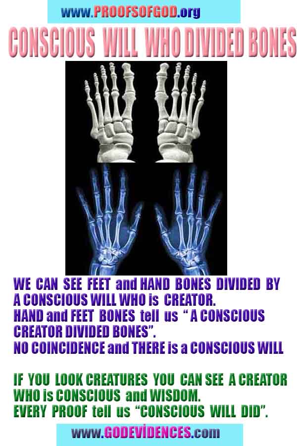 god is real, god exists here proofs, god's proofs, proofs of god, evidences of god, proofs-god, signs-god