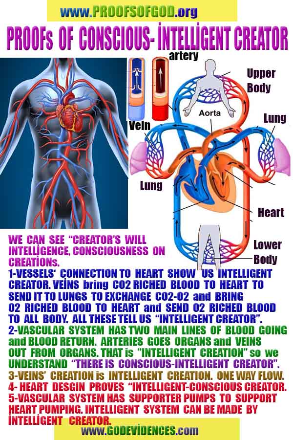 god is real, god exists here proofs, god's proofs, proofs of god, evidences of god, evidences-god, signs-god 