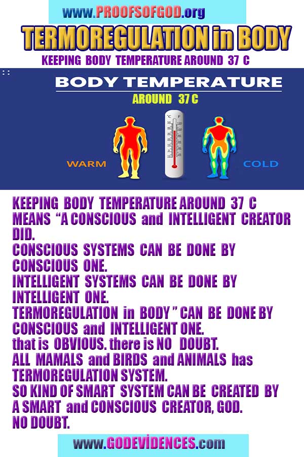 god is real, god exists here proofs, god's proofs, proofs of god, evidences of god, proofs-god, evidences-god, signs-god