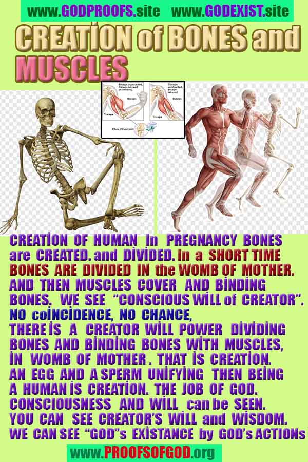 god is real, god exists here proofs, god's proofs, proofs of god, evidences of god, proofs-god, evidences-god, signs-god 