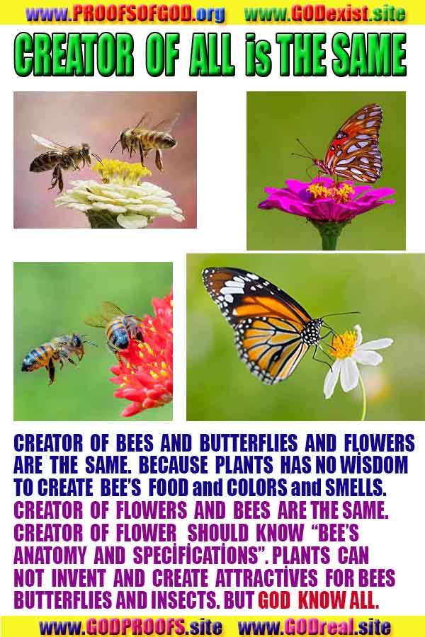 god is real, god exists here proofs, god's proofs, proofs of god, evidences of god, proofs-god, evidences-god 